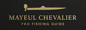 Logo Mayeul Chevalier